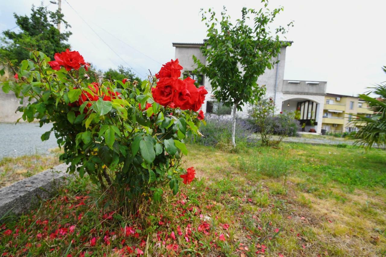 Studio Apartman Kris Marinici  Dış mekan fotoğraf