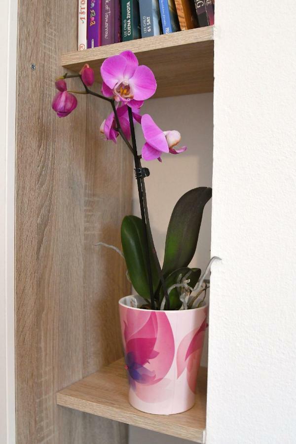 Studio Apartman Kris Marinici  Dış mekan fotoğraf